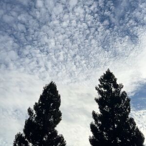 Meet your Posher, Lucia